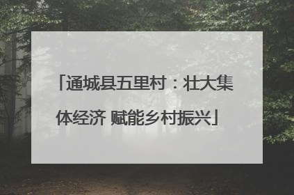 通城县五里村：壮大集体经济 赋能乡村振兴