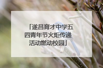 遂昌育才中学五四青年节火炬传递活动燃动校园