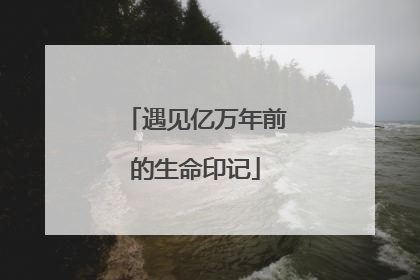 遇见亿万年前的生命印记