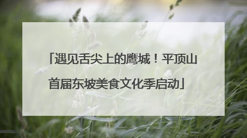 遇见舌尖上的鹰城！平顶山首届东坡美食文化季启动