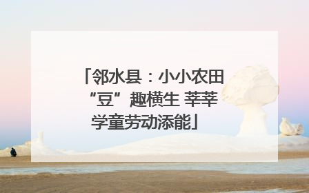 邻水县：小小农田“豆”趣横生 莘莘学童劳动添能