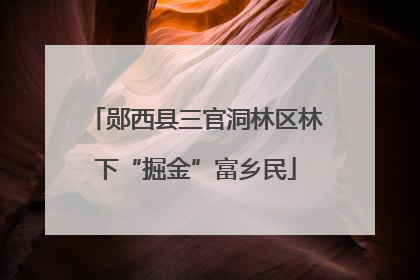 郧西县三官洞林区林下“掘金”富乡民