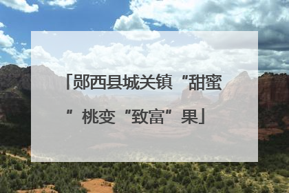 郧西县城关镇“甜蜜”桃变“致富”果
