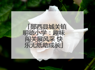 郧西县城关镇明德小学：趣味闯关展风采 快乐无纸助成长