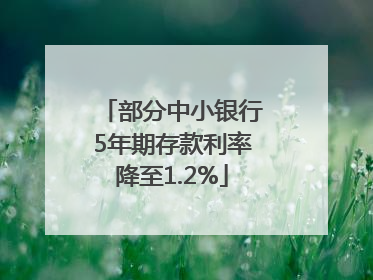部分中小银行5年期存款利率降至1.2%