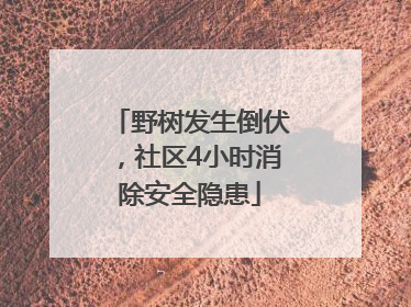 野树发生倒伏，社区4小时消除安全隐患