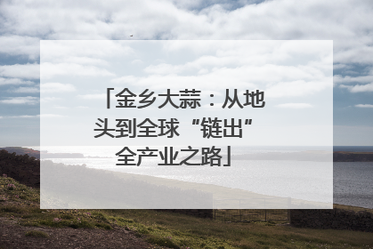 金乡大蒜：从地头到全球“链出”全产业之路