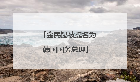 金民锡被提名为韩国国务总理