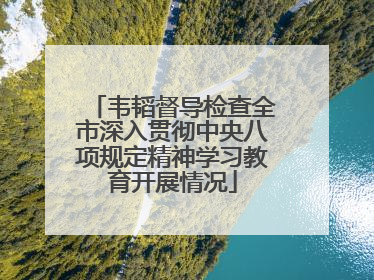 韦韬督导检查全市深入贯彻中央八项规定精神学习教育开展情况