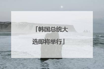 韩国总统大选即将举行
