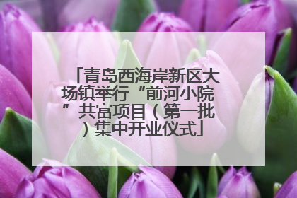 青岛西海岸新区大场镇举行“前河小院”共富项目（第一批）集中开业仪式