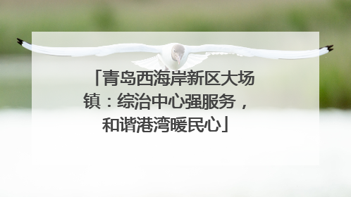 青岛西海岸新区大场镇：综治中心强服务，和谐港湾暖民心
