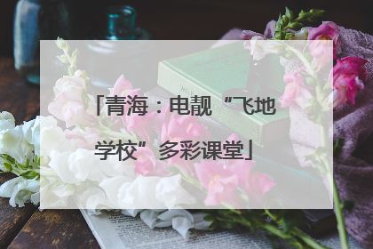 青海：电靓“飞地学校”多彩课堂