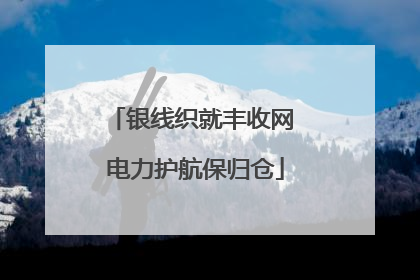 银线织就丰收网 电力护航保归仓