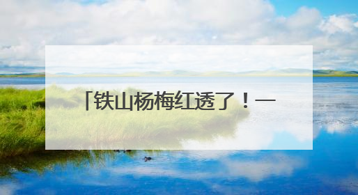 铁山杨梅红透了！一年一遇的酸甜风暴 再不来就真错过了