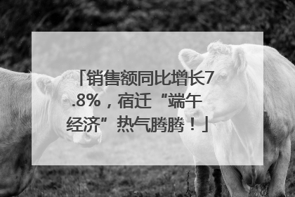 销售额同比增长7.8%，宿迁“端午经济”热气腾腾！