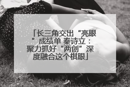 长三角交出“亮眼”成绩单 秦诗立：聚力抓好“两创”深度融合这个棋眼