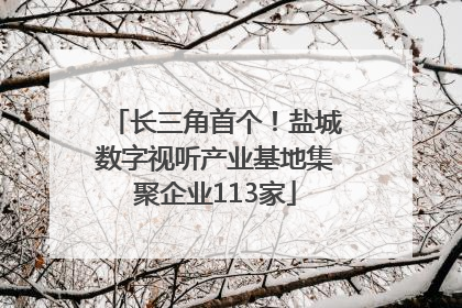 长三角首个！盐城数字视听产业基地集聚企业113家
