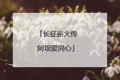 长征薪火传 阿坝爱同心