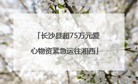 长沙县超75万元爱心物资紧急运往湘西
