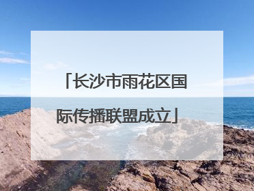 长沙市雨花区国际传播联盟成立