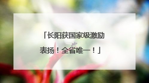 长阳获国家级激励表扬！全省唯一！