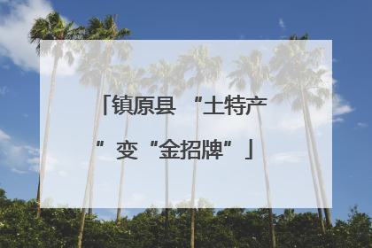 镇原县 “土特产”变“金招牌”