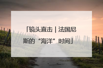 镜头直击｜法国尼斯的“海洋”时间