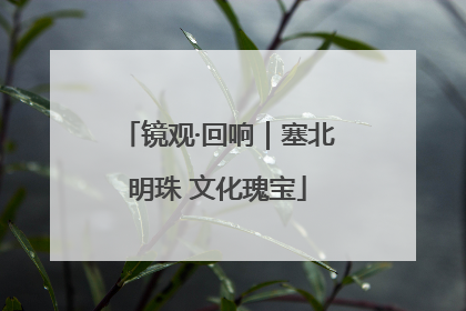 镜观·回响｜塞北明珠 文化瑰宝