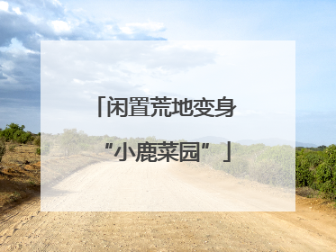 闲置荒地变身“小鹿菜园”
