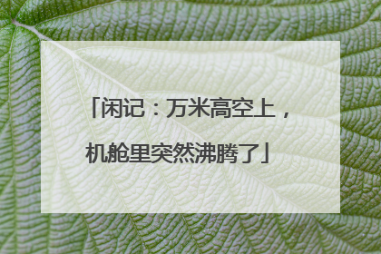 闲记：万米高空上，机舱里突然沸腾了