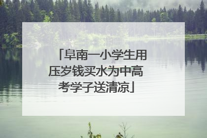 阜南一小学生用压岁钱买水为中高考学子送清凉