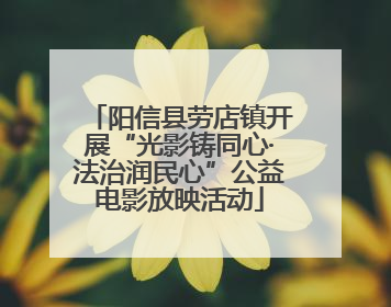 阳信县劳店镇开展“光影铸同心·法治润民心”公益电影放映活动