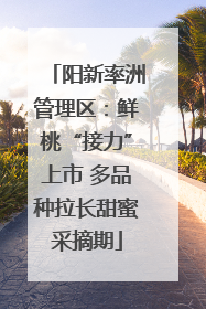 阳新率洲管理区：鲜桃“接力”上市 多品种拉长甜蜜采摘期