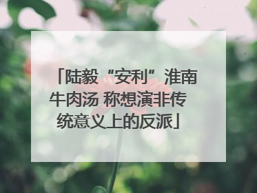 陆毅“安利”淮南牛肉汤 称想演非传统意义上的反派