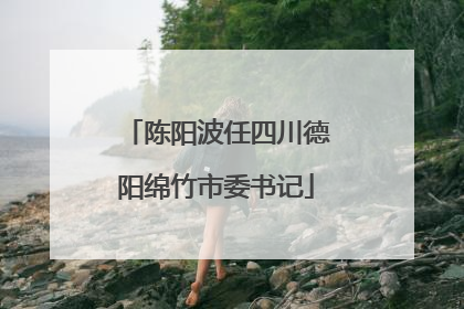 陈阳波任四川德阳绵竹市委书记