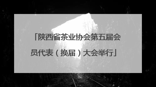 陕西省茶业协会第五届会员代表（换届）大会举行