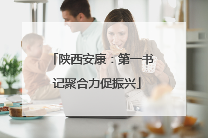 陕西安康：第一书记聚合力促振兴