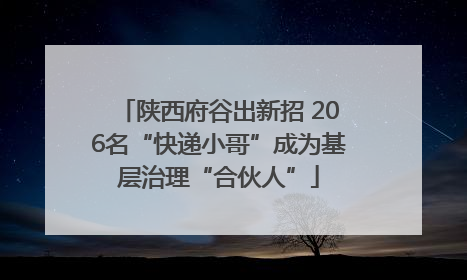 陕西府谷出新招 206名“快递小哥”成为基层治理“合伙人”