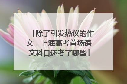 除了引发热议的作文，上海高考首场语文科目还考了哪些