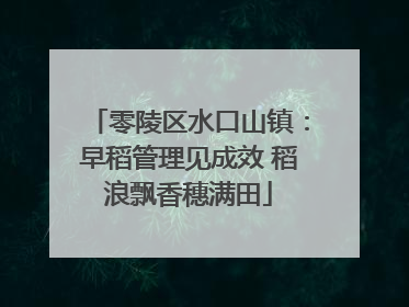 零陵区水口山镇：早稻管理见成效 稻浪飘香穗满田