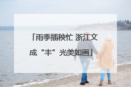 雨季插秧忙 浙江文成“丰”光美如画