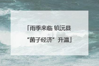 雨季来临 镇沅县“菌子经济”升温