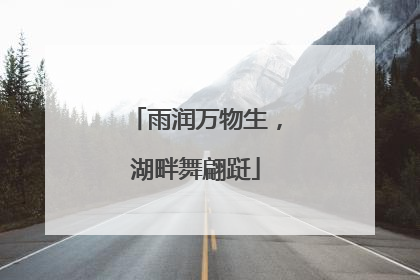 雨润万物生，湖畔舞翩跹