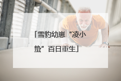 雪豹幼崽“凌小蛰”百日重生