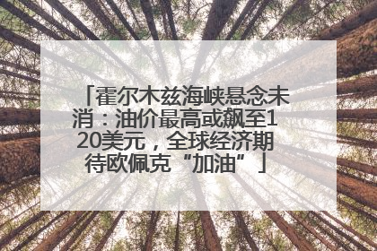霍尔木兹海峡悬念未消：油价最高或飙至120美元，全球经济期待欧佩克“加油”