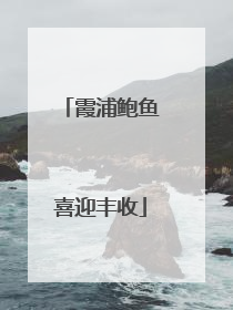 霞浦鲍鱼喜迎丰收