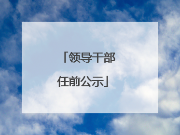 领导干部任前公示