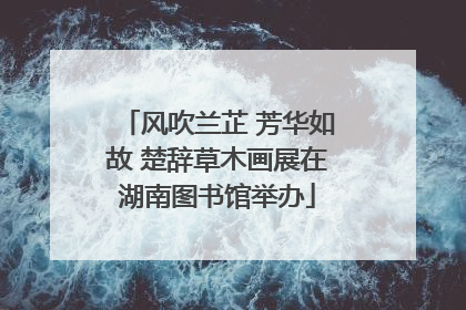 风吹兰芷 芳华如故 楚辞草木画展在湖南图书馆举办