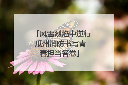 风雪烈焰中逆行 瓜州消防书写青春担当答卷